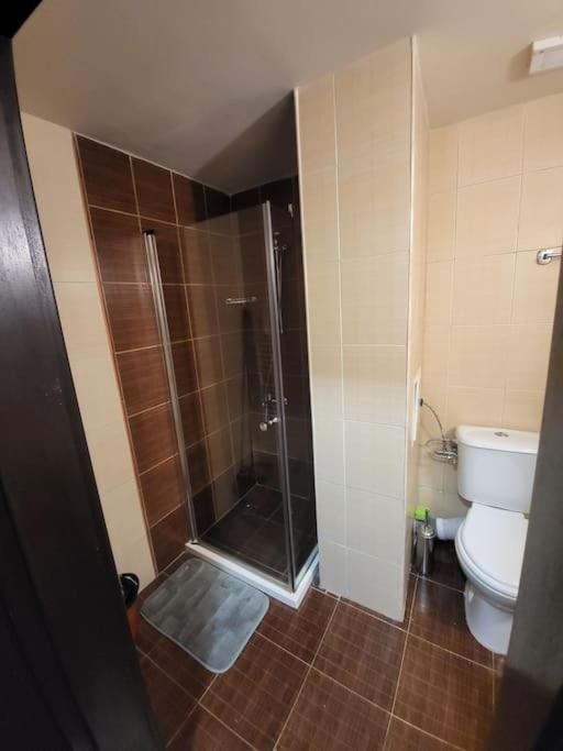 Appartement Bansko Royal Towers 253 Extérieur photo